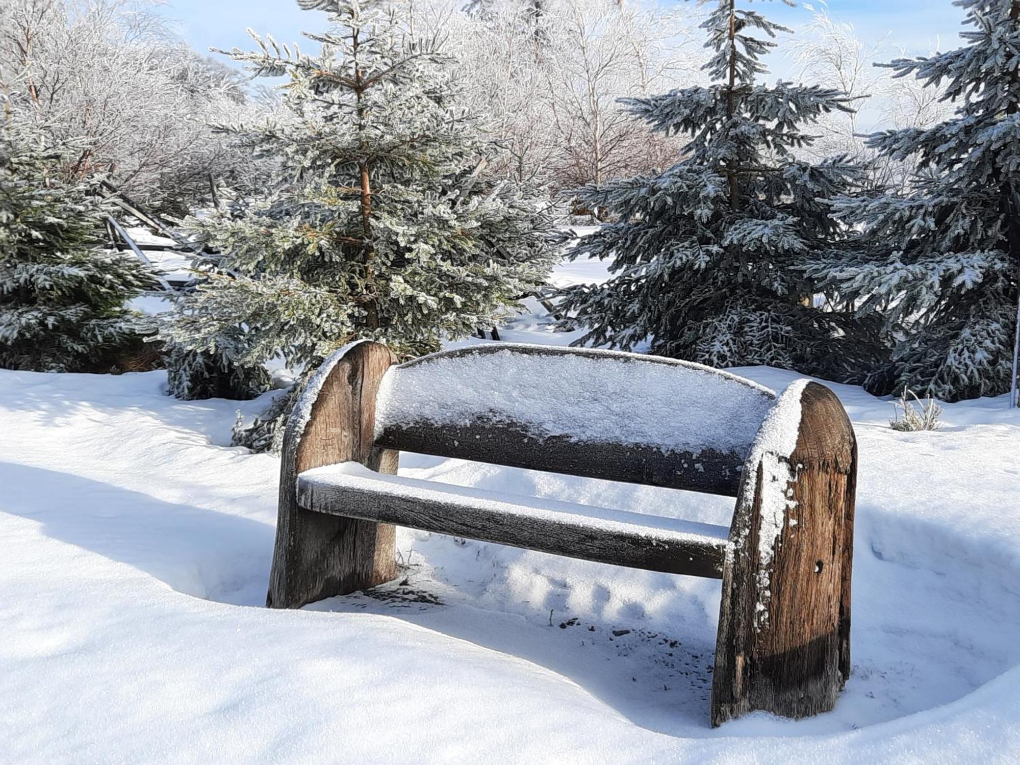 Cafe- Pension Fernblick, Incl Meinecardplus Willingen  Εξωτερικό φωτογραφία